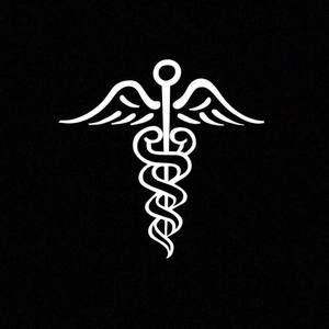 Meet your Posher, Duha